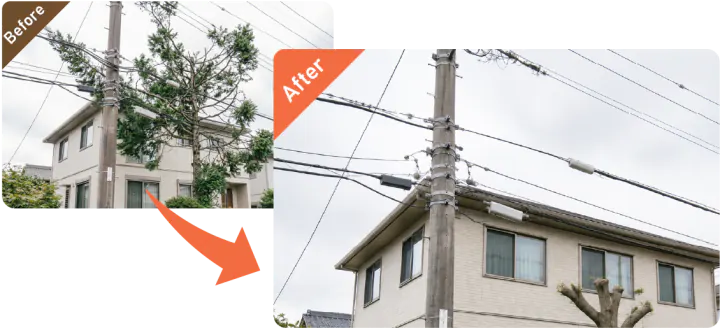 電線付近の庭木を安全に伐採した事例